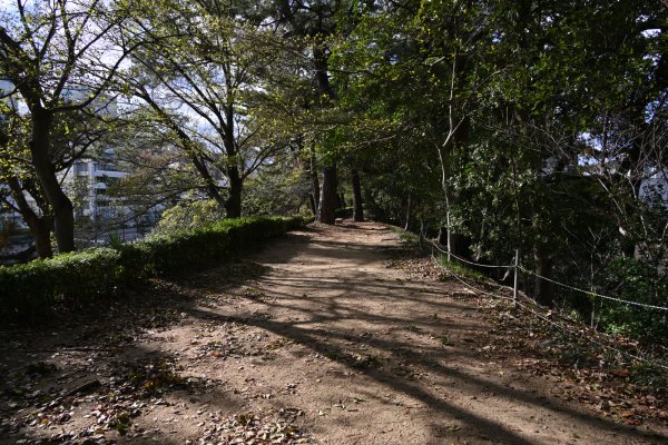 松山城(2)