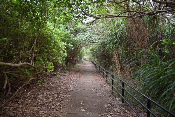 パイナガマ海空すこやか公園(1)