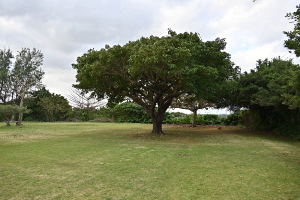 福山農村公園(2)