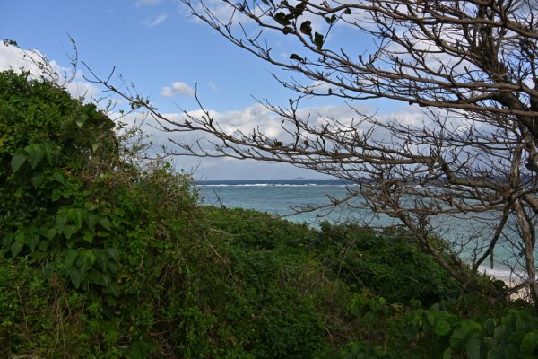 クマザ海岸(1)