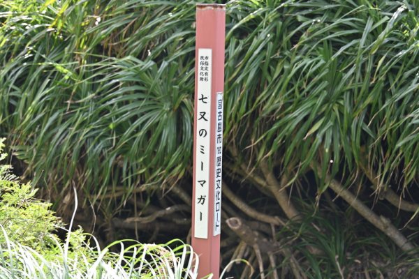 七又のミーマガー(6)