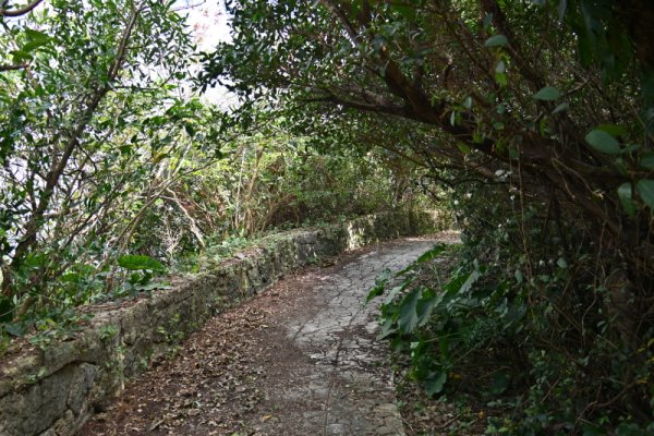 散策路(1)