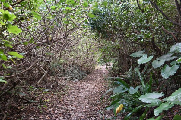 散策路(2)