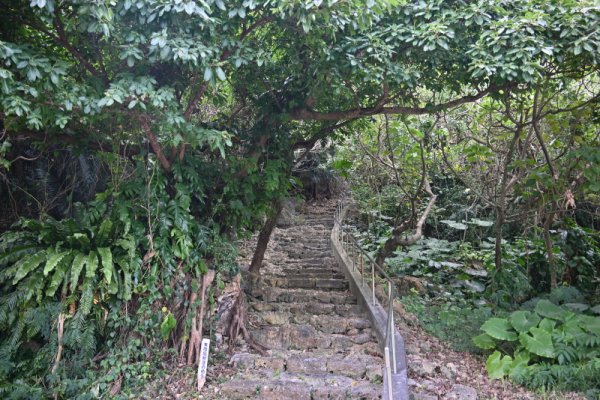 パチャ(端)の石段(3)