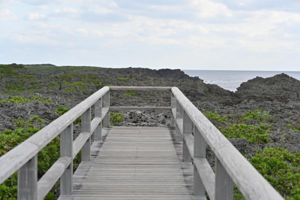 通り池(4)