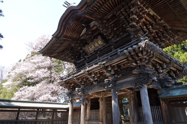 報恩寺(7)