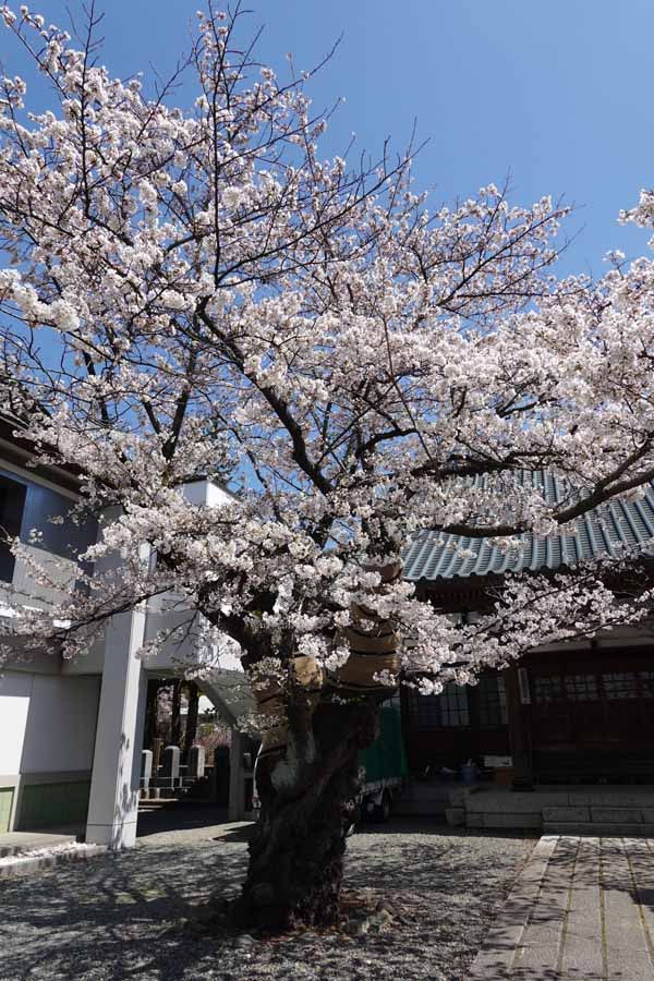 龍谷寺(1)