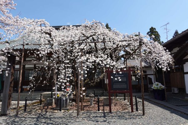 龍谷寺(2)