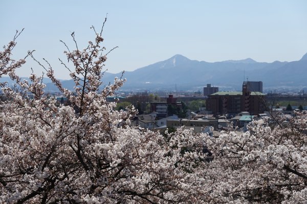 盛岡城跡(2)