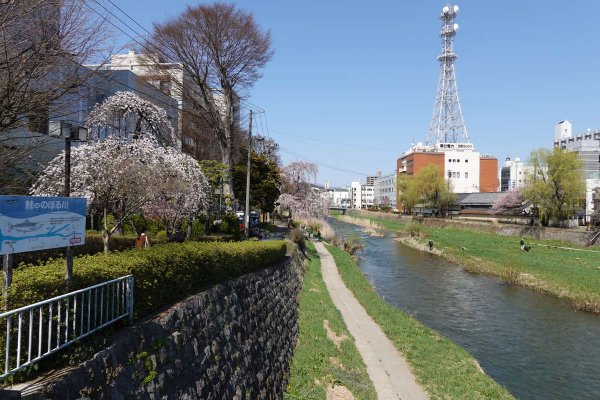 中ノ橋からの中津川
