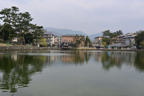 猿沢池