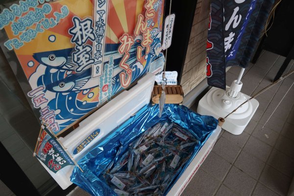 金刀比羅神社(2)