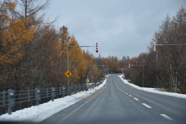 弟子屈の道路