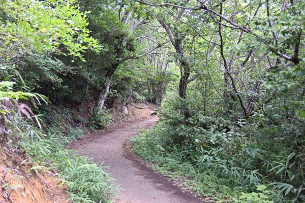 鬼ノ城散策(3)：山道