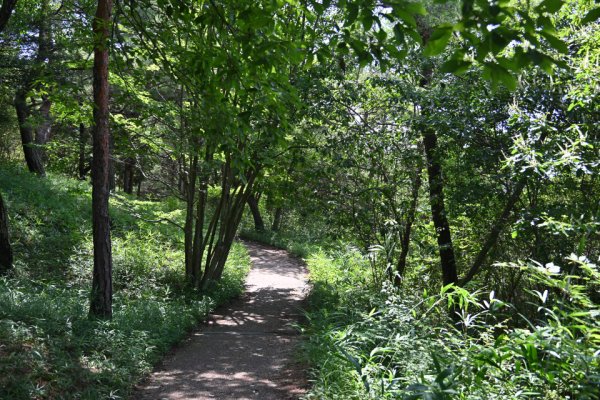 鬼ノ城散策(4)：山道