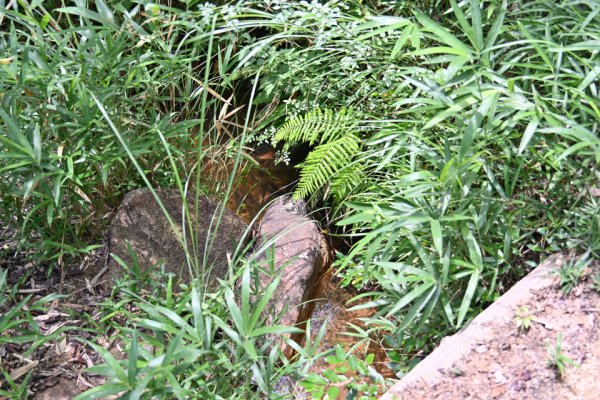 鬼ノ城散策(24)：第４水門跡付近