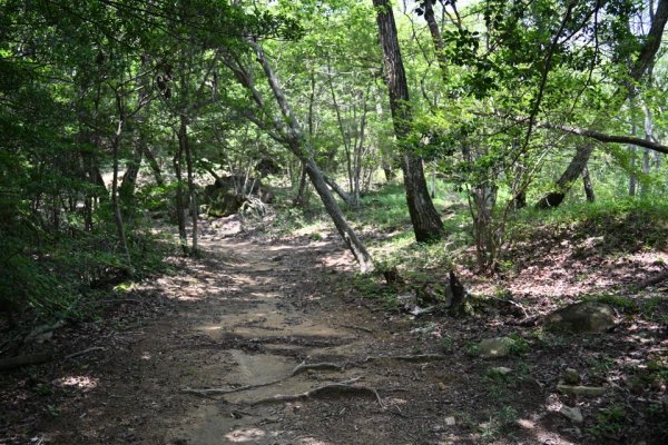 鬼ノ城散策(34)：一番北のエリア