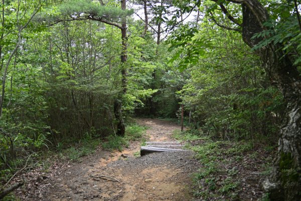 鬼ノ城散策(36)：建物跡に方向転換