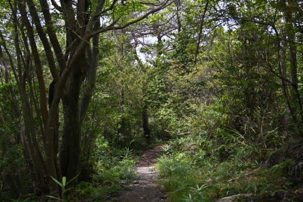 鬼ノ城散策(39)：中央部まで来た