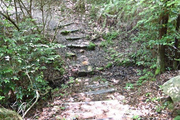 鬼ノ城散策(41)：湿地からの登り