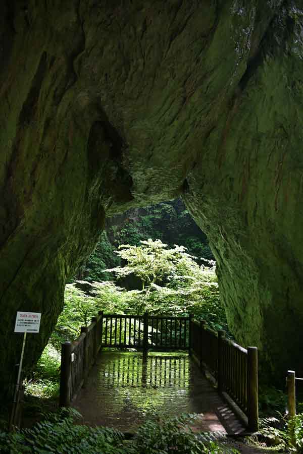 羅生門(6)：第四門