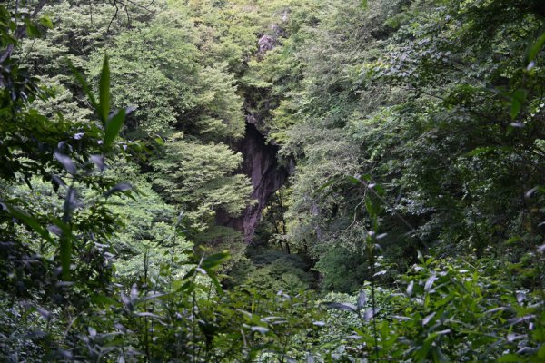 羅生門(7)：別の場所から