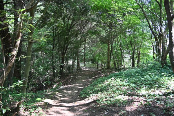 散策路