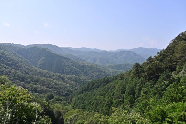 大松山つり橋からの眺め
