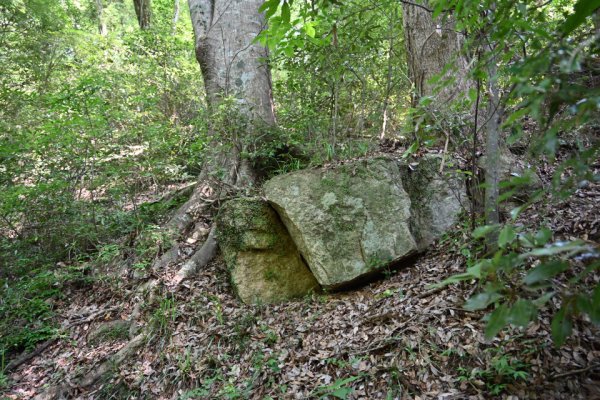 大松山城跡への分岐点