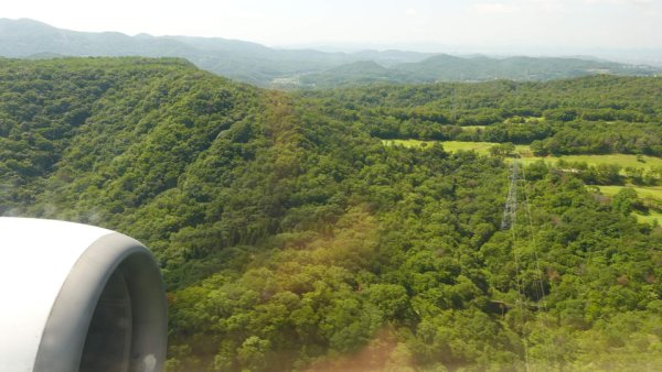 JAL231便：空港直前