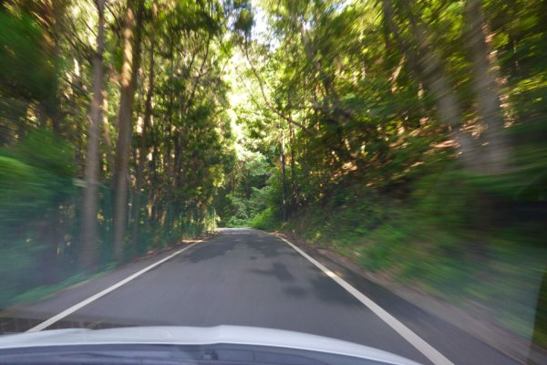 ふいご峠への道