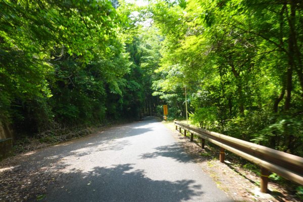 ところどころの待避所
