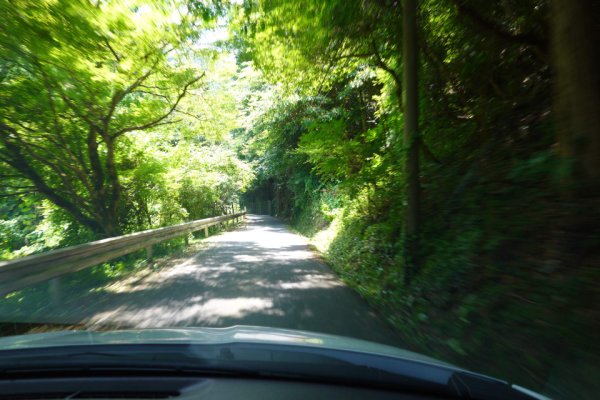 荒戸神社への道