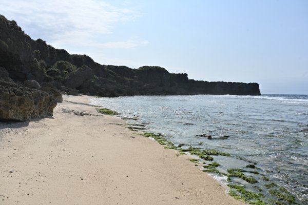 西海岸(5)