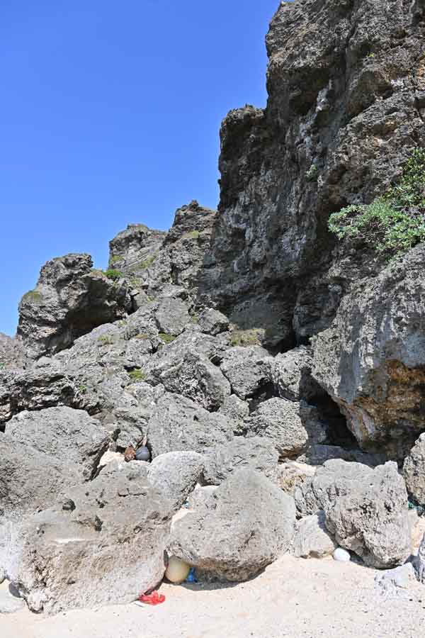 西海岸(7)