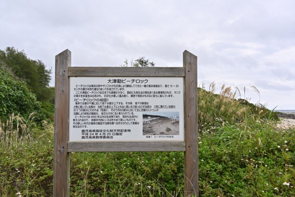 ビーチロック(1)