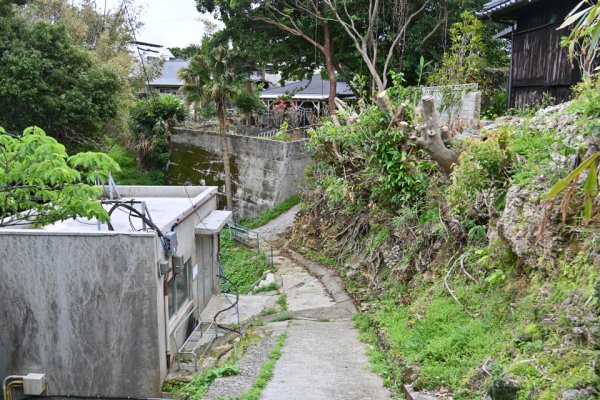 住吉暗川(3)