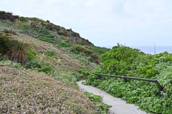田皆岬(4)：遊歩道