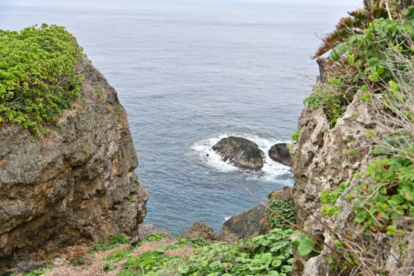 田皆岬(5)