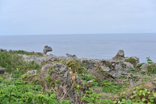 田皆岬(6)