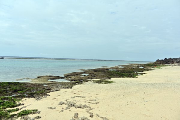 屋子母海岸(4)