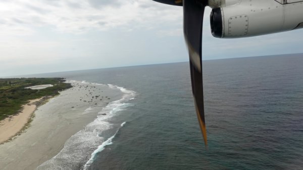 JAL3803便:沖永良部島