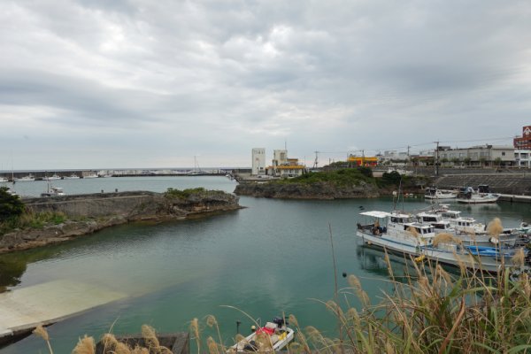 和泊の漁港