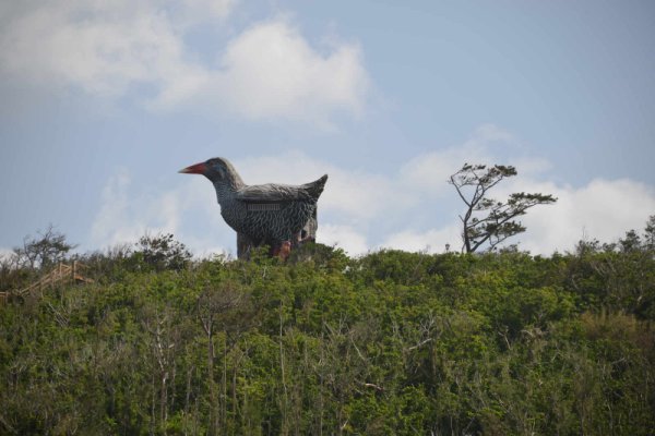 ヤンバルクイナ展望台