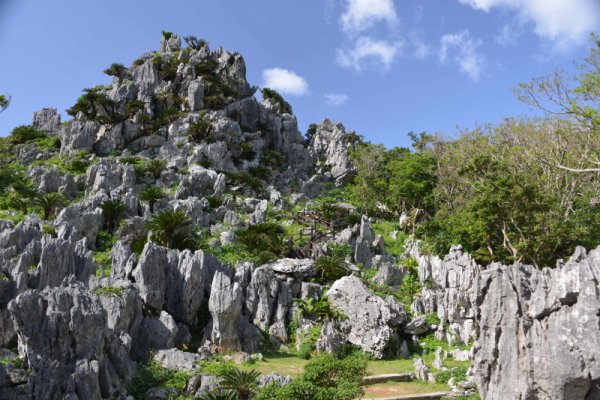 大石林山(3)：悟空岩