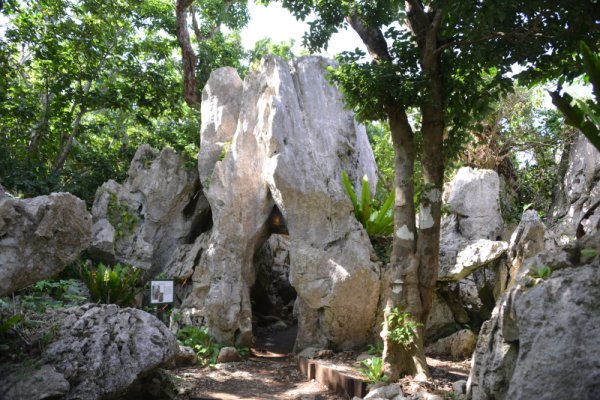 大石林山(7)