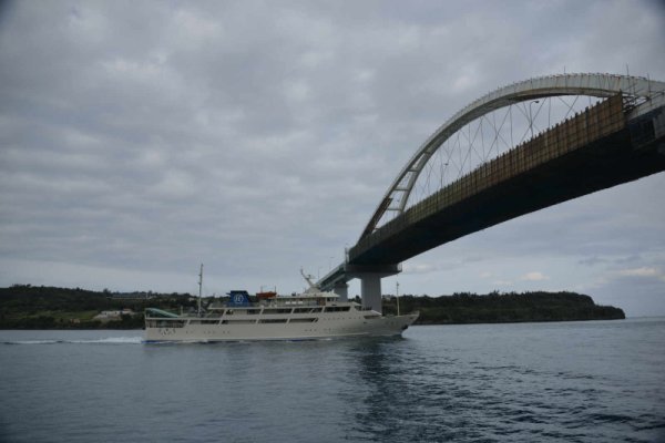 ホエールウォッチング(2)：瀬底大橋