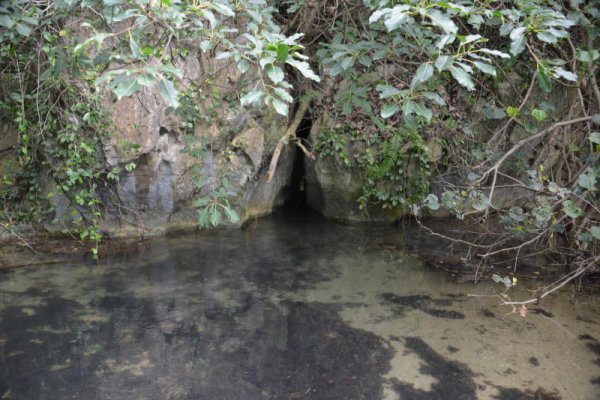 塩川(4)：湧水口