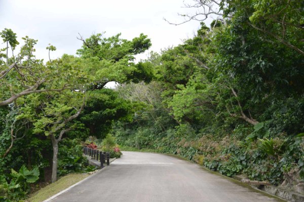 中城城跡(8)