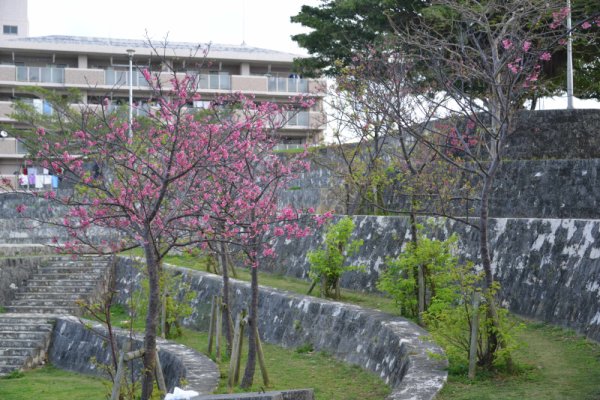 緑ヶ丘公園